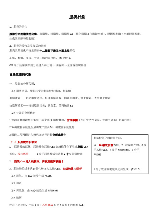 生物化学脂类代谢知识点总结