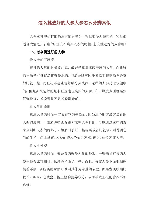 怎么挑选好的人参 人参怎么分辨真假