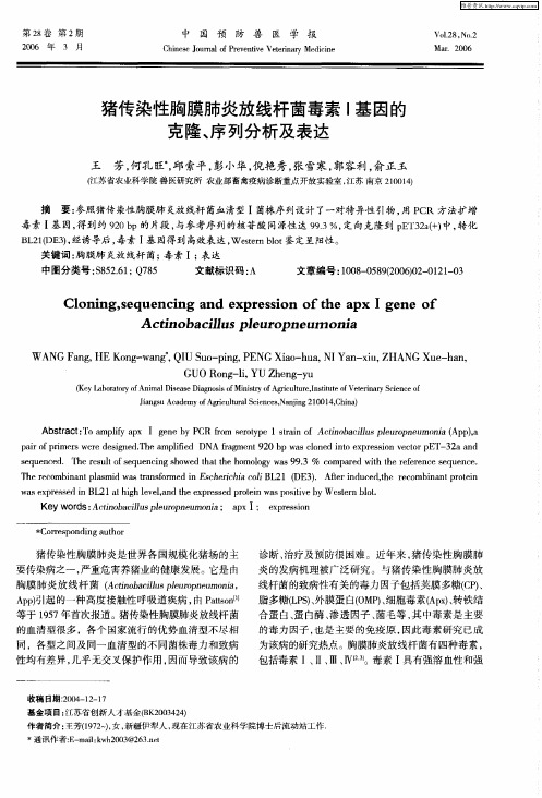 猪传染性胸膜肺炎放线杆菌毒素Ⅰ基因的克隆、序列分析及表达