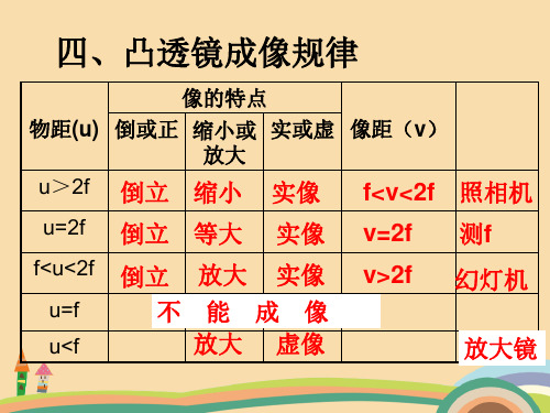 七年级科学眼和视觉PPT优秀课件