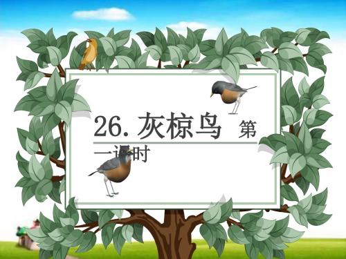 2019-2020学年新苏教版小学语文五年级下册26.灰椋鸟 第1课时课件.pptx.pptx