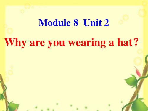 六年级下册英语课件 M8 U2 Why are you wearing a hat 外研版(三起) (共23张PPT)