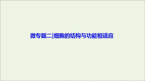 2020高考生物大一轮复习微专题二细胞的结构与功能相适应课件新人教版