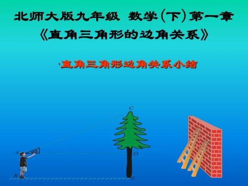 【最新】北师大版九年级数学下册第一章《复习》公开课课件