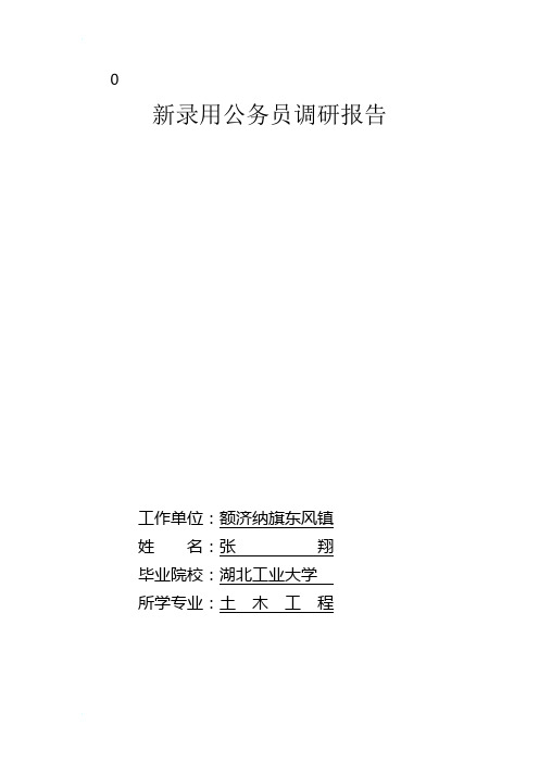 新录用公务员调研报告1