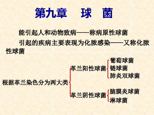 能引起人和动物致病——称病原性球菌 引起的疾病主要表现为