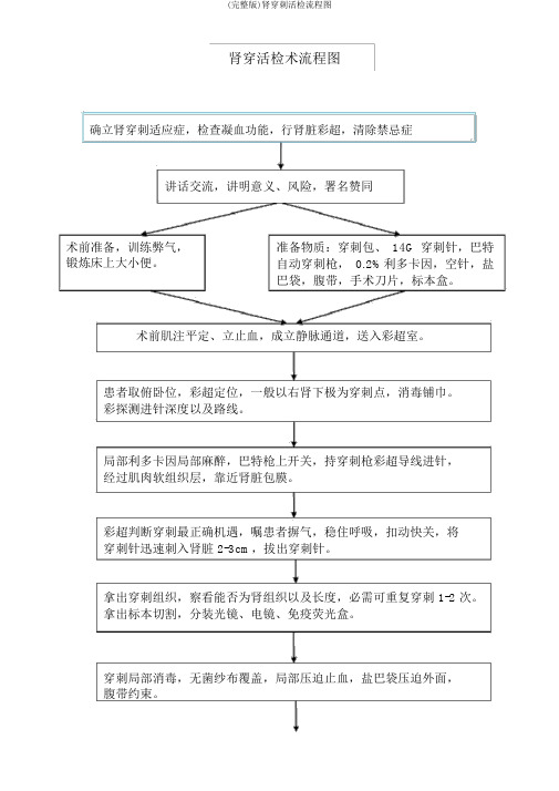 (完整版)肾穿刺活检流程图