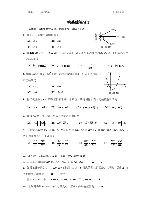 浦东金桥最好的初中中考补习班新王牌一模基础练习1