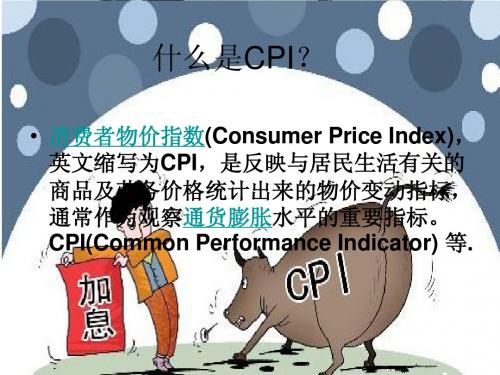 什么是CPI？