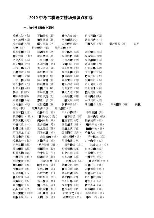  2019中考二模语文精华知识点汇总