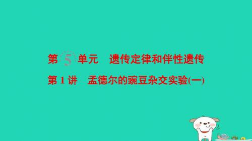 (全国版)2019版高考生物一轮复习第5单元遗传定律和伴性遗传第1讲孟德尔的豌豆杂交实验一课件