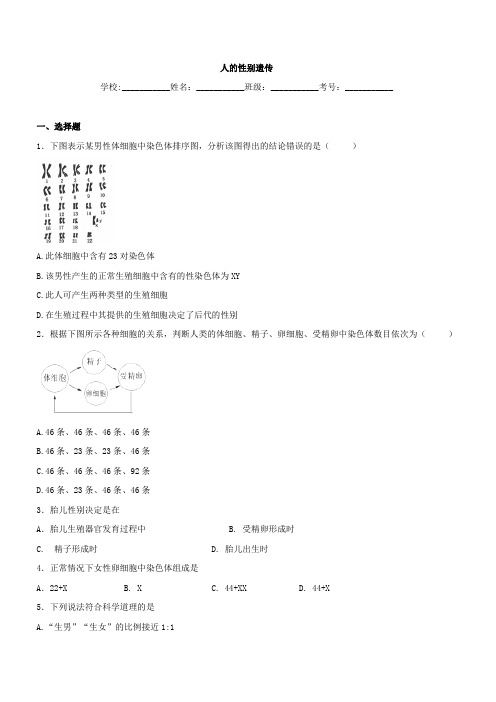 中考生物精品复习专题训练：人的性别遗传(含真题及答案)