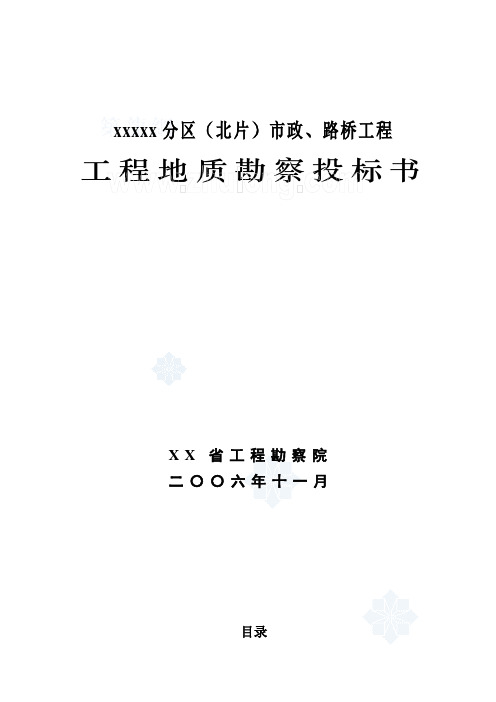 道路工程地质勘察投标文件-范本