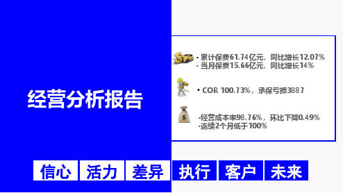 财险公司经营分析报告(模板)