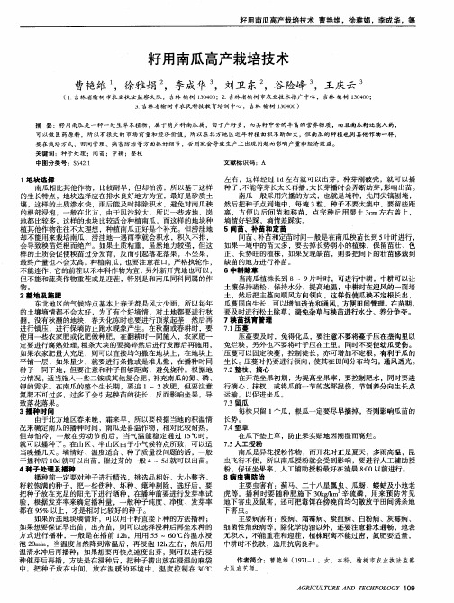 籽用南瓜高产栽培技术