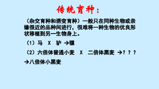 人教版必修2生物：6.2 基因工程及其应用 课件(共16张PPT)