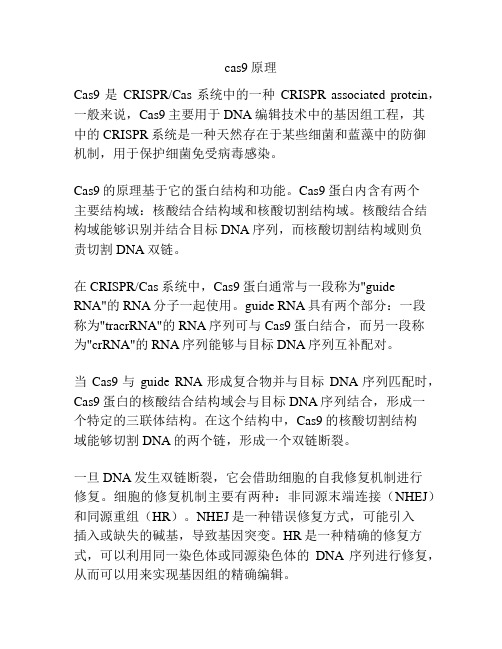 cas9原理