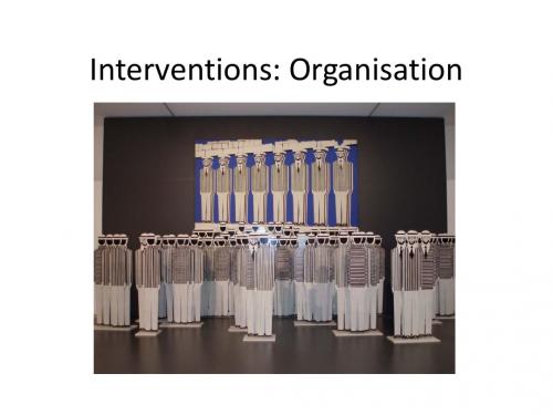 国外商学院人力资源14 blcm Interventions Organisation