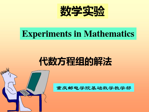 19476-数学建模-代数方程组的解法实验