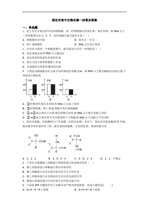 保定市高中生物必修一试卷及答案