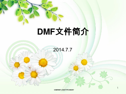 DMF文件简介