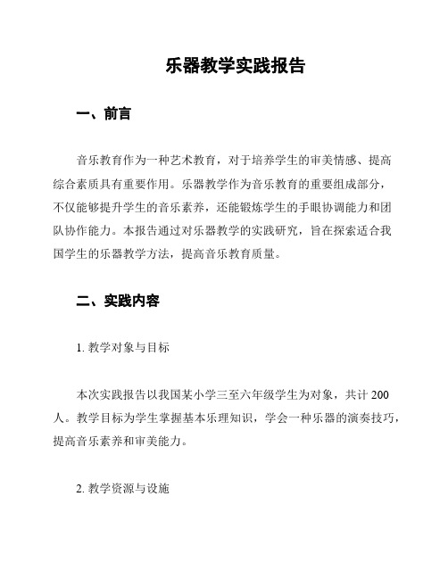 乐器教学实践报告