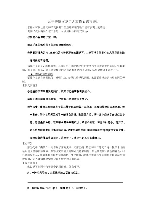 九年级语文复习之写作6语言表达