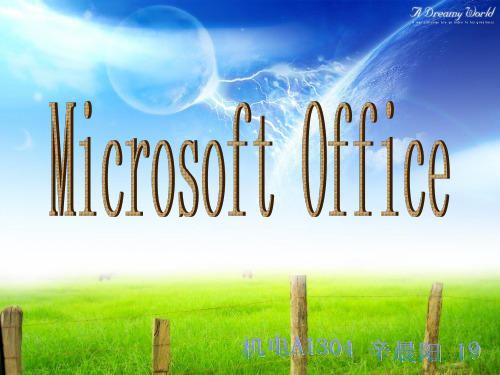 Microsoft Office基本介绍