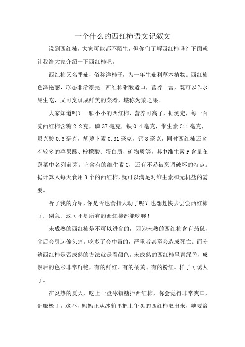 一个什么的西红柿语文记叙文