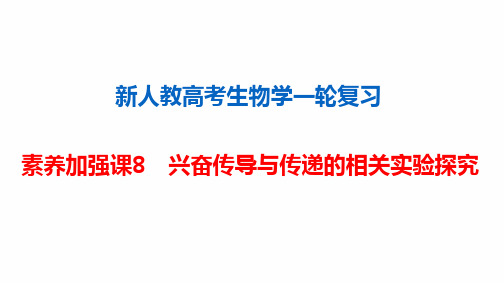 新人教高考生物学一轮复习素养加强课8 兴奋传导与传递的相关实验探究