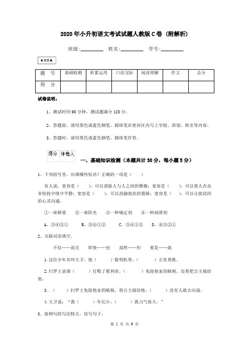 2020年小升初语文考试试题人教版C卷 (附解析)