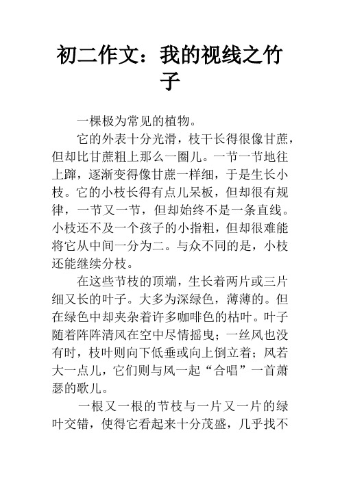 初二作文：我的视线之竹子