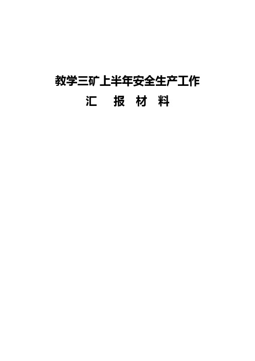 2010年上半年汇报材料11