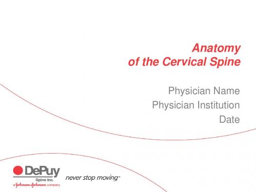 Anatomy of the Cervical Spine