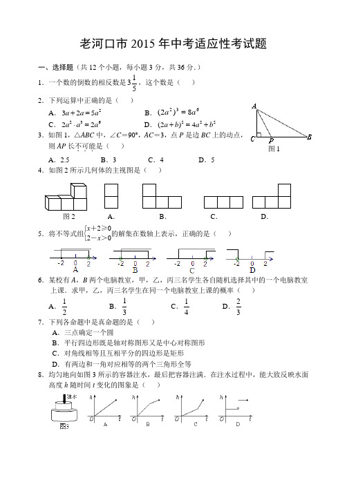 襄阳市老河口市中考适应性考试数学试题