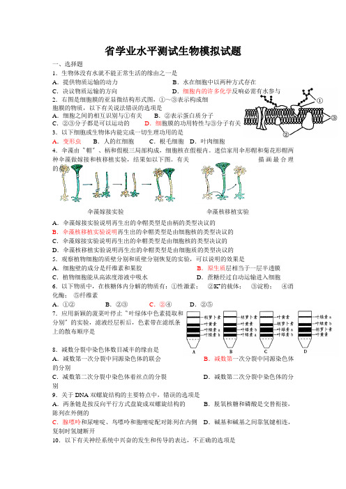 省学业水平测试生物模拟试题