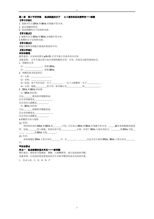 23遗传信息的携带者——核酸导学案