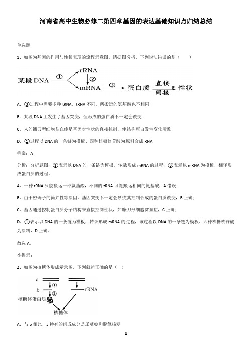 河南省高中生物必修二第四章基因的表达基础知识点归纳总结