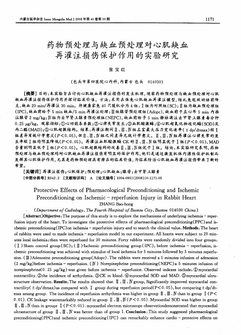 药物预处理与缺血预处理对心肌缺血再灌注损伤保护作用的实验研究