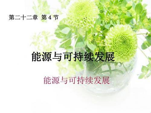 九年级人教版物理全册22.4《能源和可持续发展》一等奖优秀课件