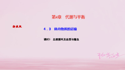 2019年秋浙教版九年级科学上册习题课件:4.3 体内物质的运输课时3 血液循环及血型与输血 (共27张PPT)