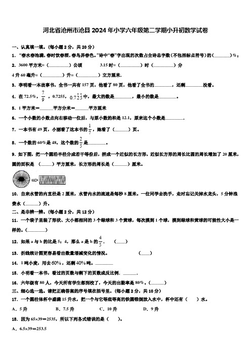 河北省沧州市沧县2024年小学六年级第二学期小升初数学试卷含解析