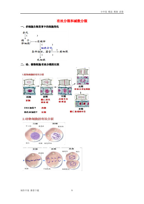 【新】北京市高考生物一轮复习例题讲解专题有丝分裂和减数分裂学案(无答案)