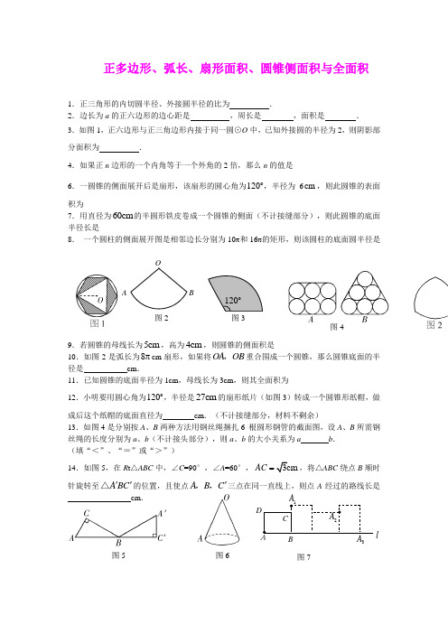 正多边形、弧长、扇形面积、圆锥侧面积与全面积 专题训练