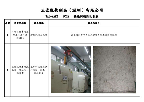 FCCA   验厂问题点改善表