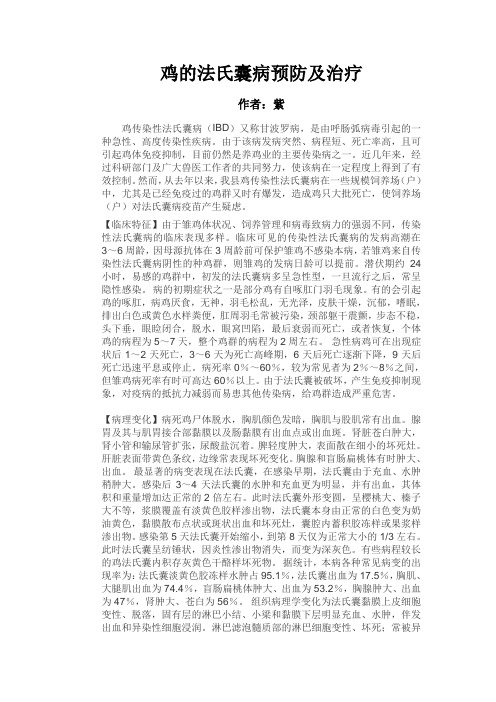 鸡的法氏囊病及防治