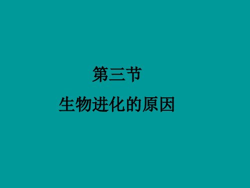 人教版八年级生物下册-7.生物进化的原因课件