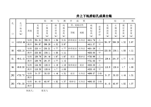 井上、下地质钻孔成果台账