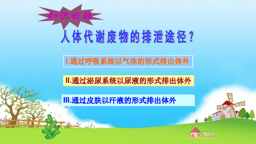 全国优质课一等奖初中七年级生物《汗液的形成和排出》公开课课件