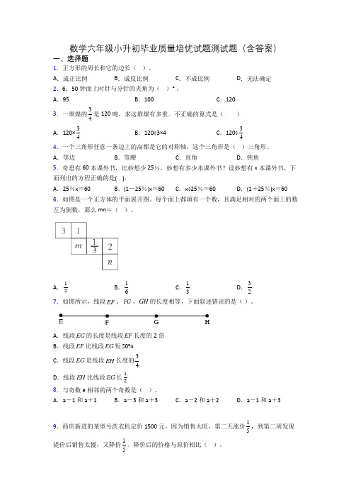 数学六年级小升初毕业质量培优试题测试题(含答案)